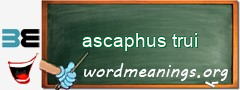 WordMeaning blackboard for ascaphus trui